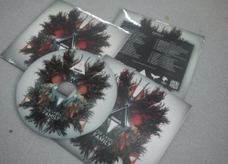 Конверт CD + диск + упаковка в термоусадочную пленку